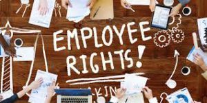 employee's rights