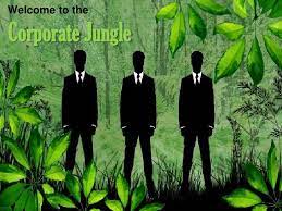 you hate corporate jungle